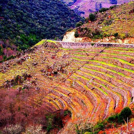 Castelodobispo - Ourense Sobrado del Obispo Esterno foto